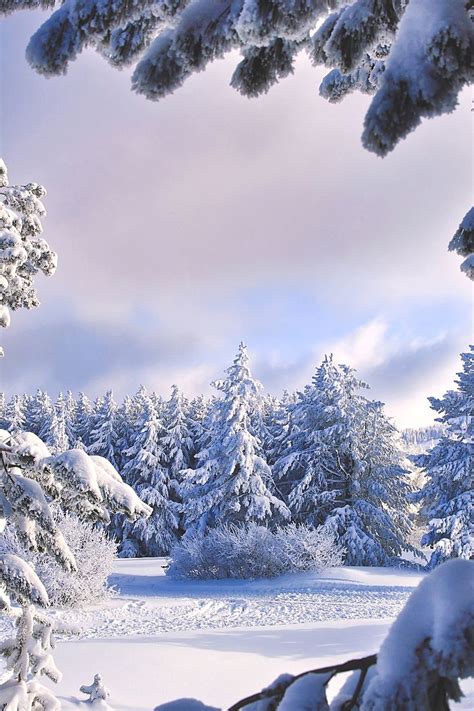 2573 Best Winter Wonderland Images On Pinterest Winter Winter Snow