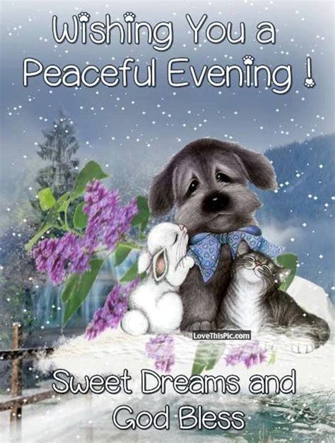 Wishing You A Peaceful Night Sweet Dreams Pictures Photos And Images