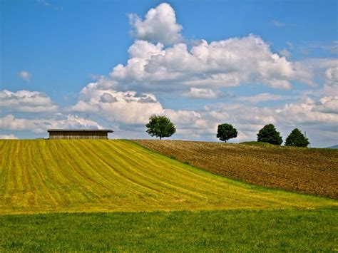 Gemähte Wiese Foto And Bild Landschaft Äcker Felder And Wiesen Hemipe