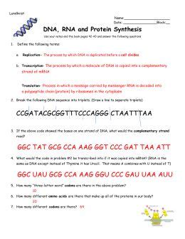 Trna and mrna transcription worksheet with answer key :. Answer Key Worksheet On Dna Rna And Protein Synthesis ...