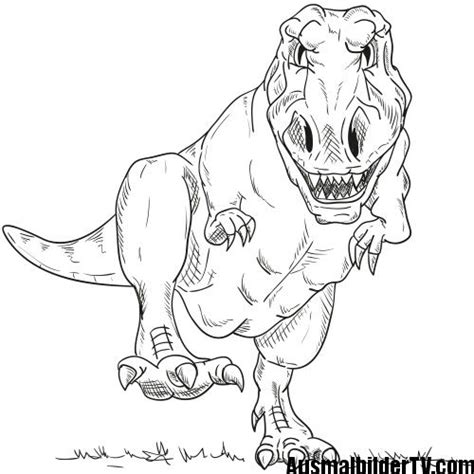 T Rex Ausmalbild Dinosaurier Ausmalbilder Malvorlage Dinosaurier Ausmalbilder