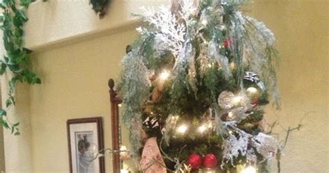 Cacti are a type of plant called succulents. Elderberry Street: Progressive Brunch and Favorite Things