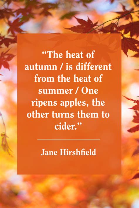 55 Best Fall Quotes About Autumn Top Sayings About Autumn