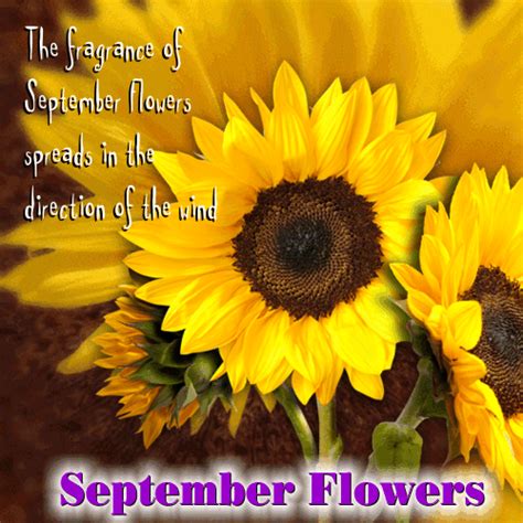 My September Flowers Ecard Free September Flowers Ecards 123 Greetings