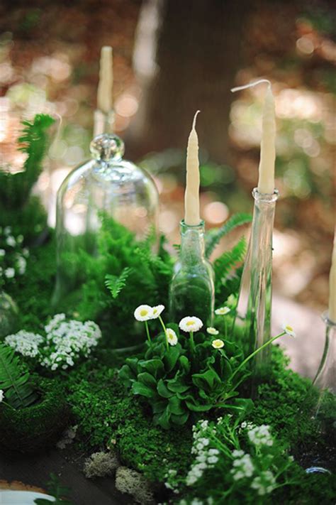 Top 8 Moss Wedding Ideas Save On Crafts
