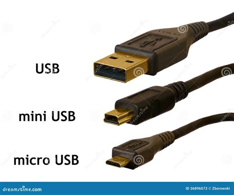 Micro Mini And Standard Usb Plugs Compared Stock Photos Image 36896073