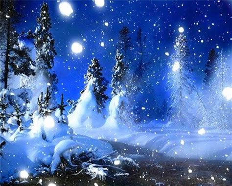 Starry Night Over Winter Forest Landscape Paint By Number Paint By
