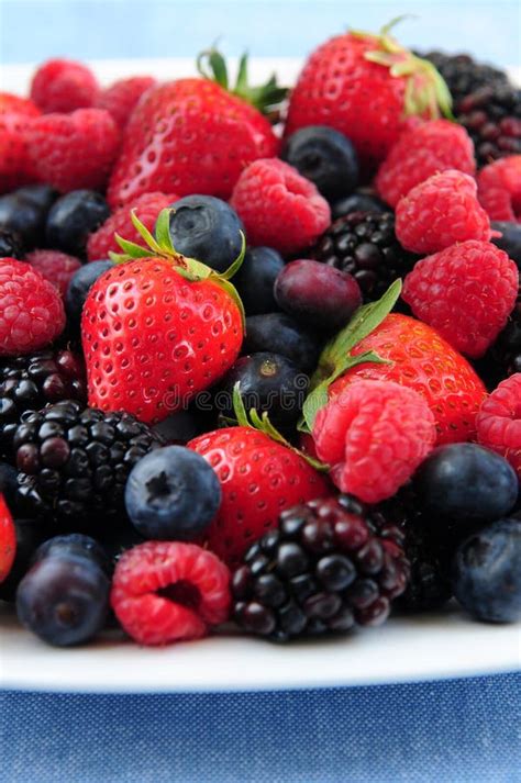 Assorted Fresh Berries Stock Image Image Of Harvest Close 5182963