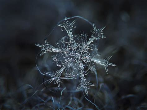 Macro Photography Of Individual Snowflakes By Alexey Kljatov