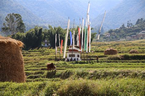 And Action! Bhutan a small Himalayan Kingdom - WörterSee