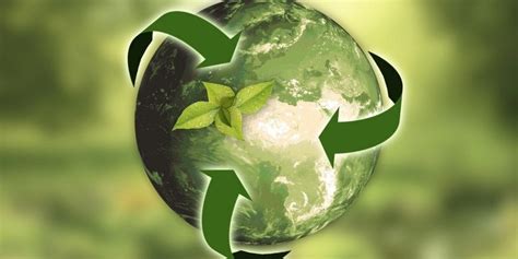 Economía circular y ecodiseño claves para un desarrollo sostenible