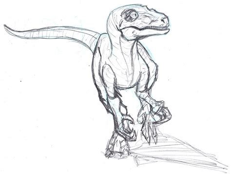 Velociraptor Sketch By Constantscribbles On Deviantart Dinosaur
