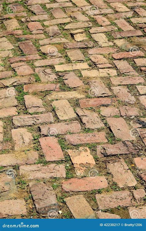 Old Brick Walkway And Grass Stock Image Image Of Walkway Growing