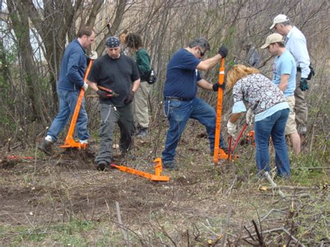 Habitat Defenders Invasive Plant Removal At Jamaica Bay Wildlife