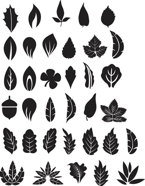 Download Tree Leaves Vector Free Free Tree Leaf Vector Png Image With