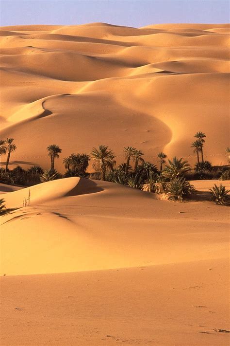 Download Wallpaper 800x1200 Desert Oasis Vegetation Trees Palm Trees Sand Iphone 4s4 For