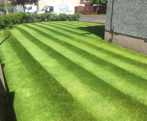 Grass Cutting Verses Lawn Care Mr And Mrs Gardens Limited