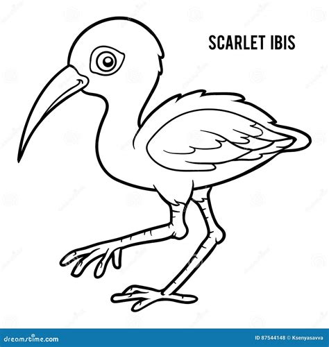 Scarlet Ibis Cartoon Vector 69951045