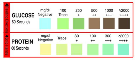 URICHECK Glucose & Protein Urine Test Strips, Rs 100 /piece Biogenix ...