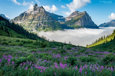 St Mary Valley Glacier National Park Jane Lurie Photography