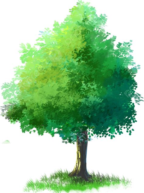 شجرة شجرة مواد الشجرة شجرة التوضيح Png صورة للتحميل مجانا
