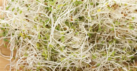 Alfalfa can be taken in food or supplement form. What Are the Benefits of Alfalfa Grass? | LIVESTRONG.COM