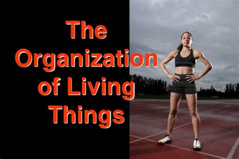 The Organization Of Living Things Ppt Download