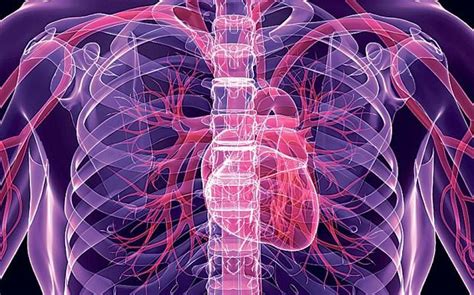 A successful marriage requires falling in love many times, always with the same person. 3D Printing May Create Enhanced New Organs, Capable of ...