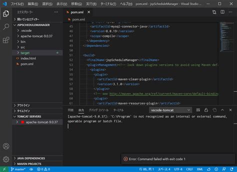 Java Can T Run Tomcat Server On VS Code Stack Overflow