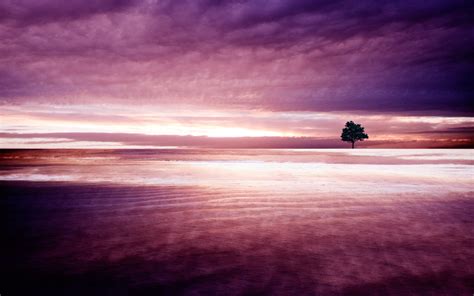 Purple Nature Wallpapers Hd Wallpapers Id 11890