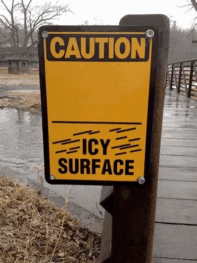 Funny Ice  Funny Ice Icysurfacesign Discover And Share S