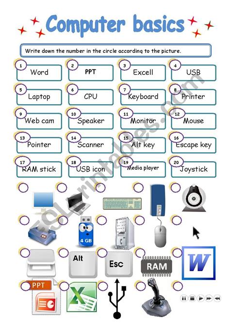 Basic Computer Worksheet