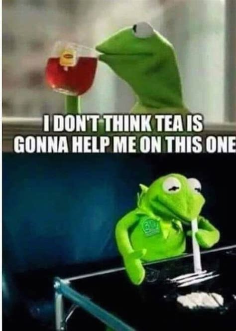 30 Best Of The Thats None Of My Business Kermit Meme