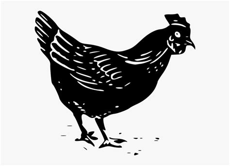 Images Of Cartoon Chicken Clip Art Black And White