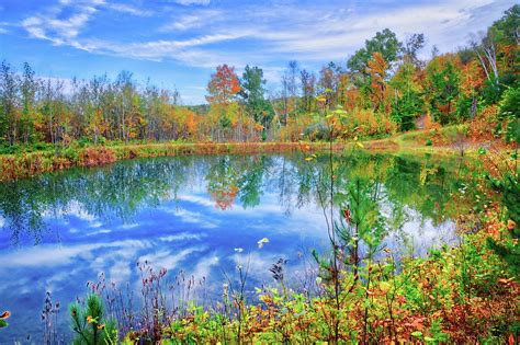 Reflecting On Fall At The Pond Photograph By Lynn Bauer Fine Art America