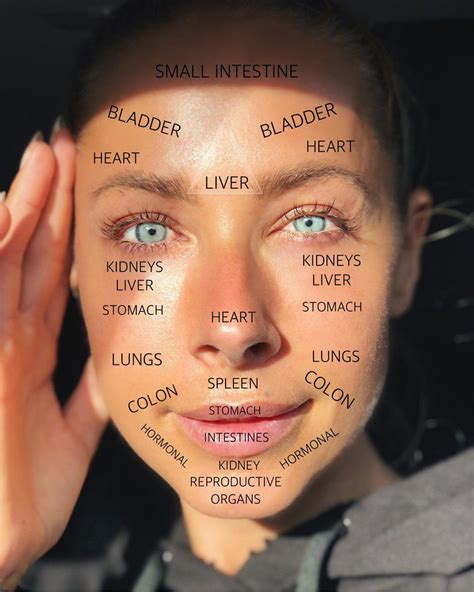 What Does Your Face Say About You Face Mapping Explained Face