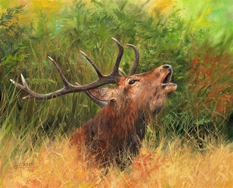 Red Stag Painting By David Stribbling Fine Art America