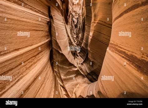 Scenic View Of Zebra Slot Canyon At Grand Staircase Escalante National