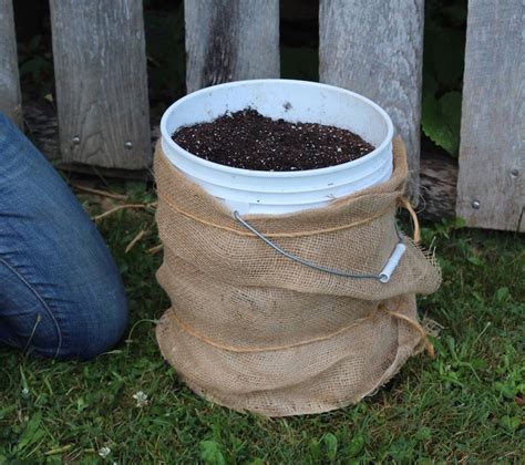 Build A 5 Gallon Bucket Garden To Grow Tons Of Fresh