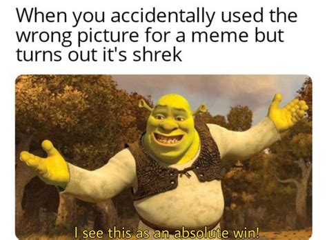 Funny Shrek Meme Images Webphotos Org