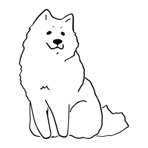 How To Draw A Samoyed