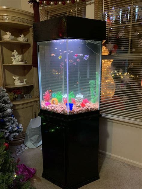 55 Gal Hexagon Fish Tank For Sale In Graham Wa Offerup