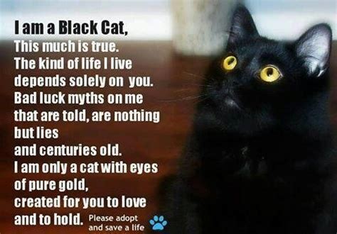 There are many debates as whether a cat can be truly happy kept inside. Black cat poem | For My Love of Cats | Pinterest | Cats ...