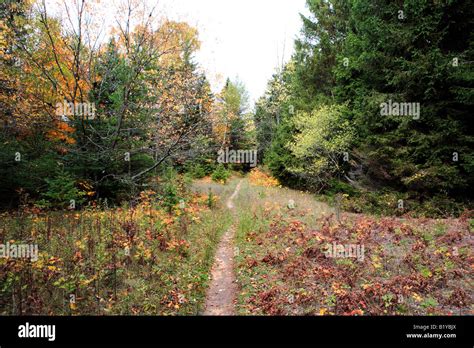 Rowleys Bay Trail In Newport State Park Door County Wisconsin Usa In