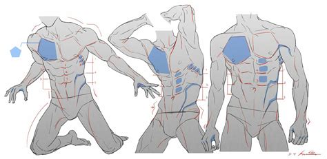 Update More Than Anime Male Anatomy Reference Best