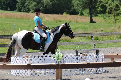 Working Equitation We Obstacle Lessons Tristate Riding Club