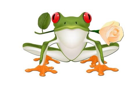 Funny Frogs Clipart Best
