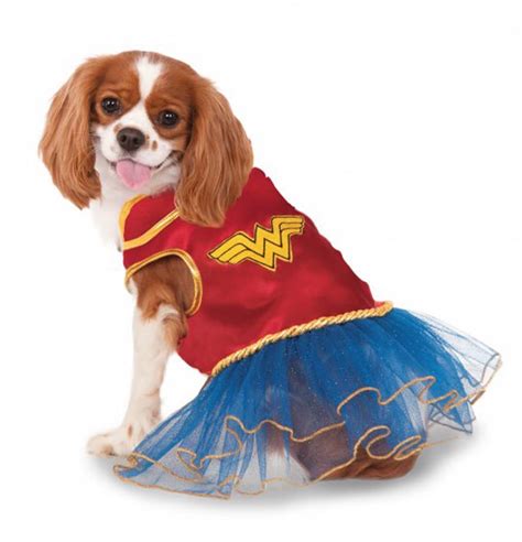 The Best Superhero Dog Costumes For Halloween 2019
