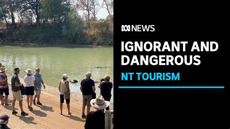 Tourists Risking Lives To See Crocodiles At Cahills Crossing In Kakadu National Park Abc News