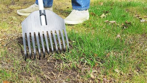 Finding Bare Spots In Your Lawn Learn How To Fix Patchy Grass With New